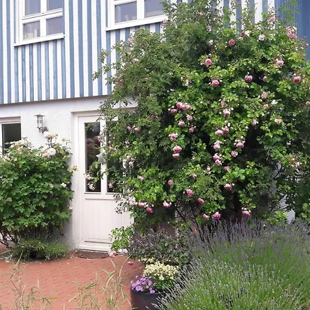 Ostsee I Apartment *